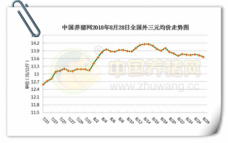 中国养猪网