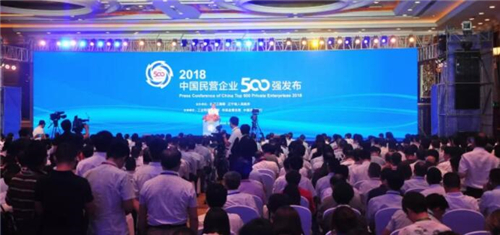 厉害了双胞胎！超500亿，再次荣登中国民企500强，位列132！