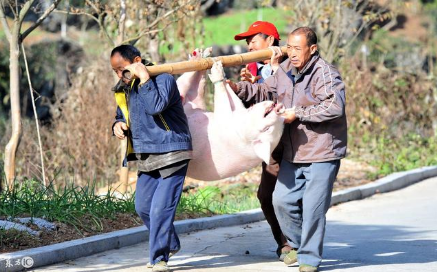 农业“八大坑”坑坑都要命！快掉进去了你还不知道？