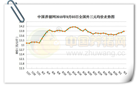 中国养猪网