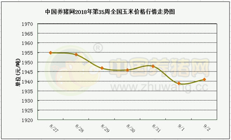 中国养猪网