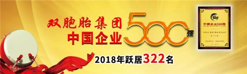 双胞胎强悍！2018中国500强企业排名上升25位，跃居322名...