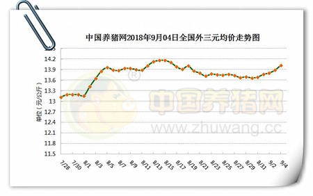 中国养猪网