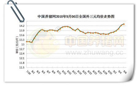 中国养猪网