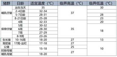 农村养猪老话“谁把握了温度，谁就把握了猪群”是什么意思？