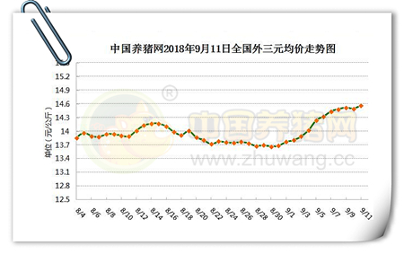 中国养猪网