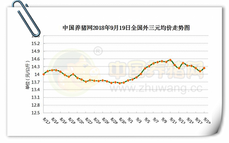 中国养猪网