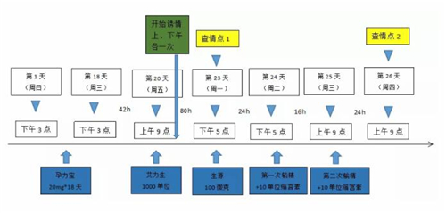 中国养猪网