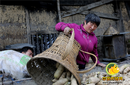 妻子朱林香说：“人勤地不懒，只要肯干就有收获