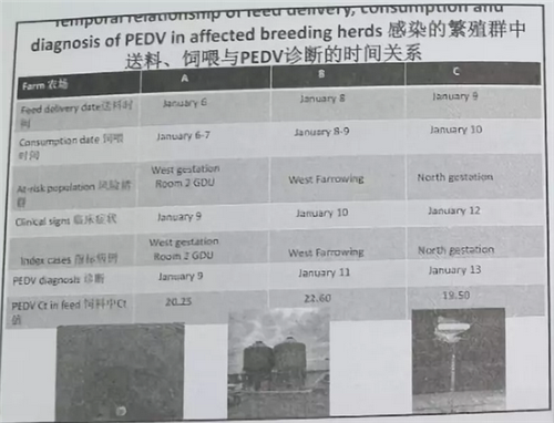 PEDV和非洲猪瘟可能在饲料中传播 