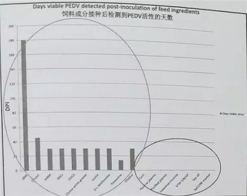 PEDV和非洲猪瘟可能在饲料中传播 