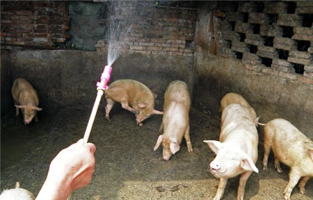 如何确保养猪场第一道防线的安全与稳固