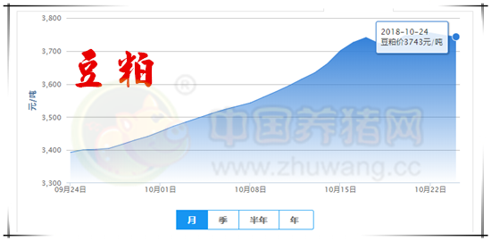 10月24日：受疫情影响猪价波动幅度加大 南北走势分化明显