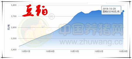 中国养猪网