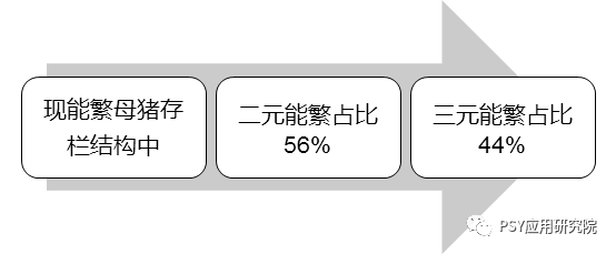 三元母猪生产效率较二元下降超30%，如何缩小差距？