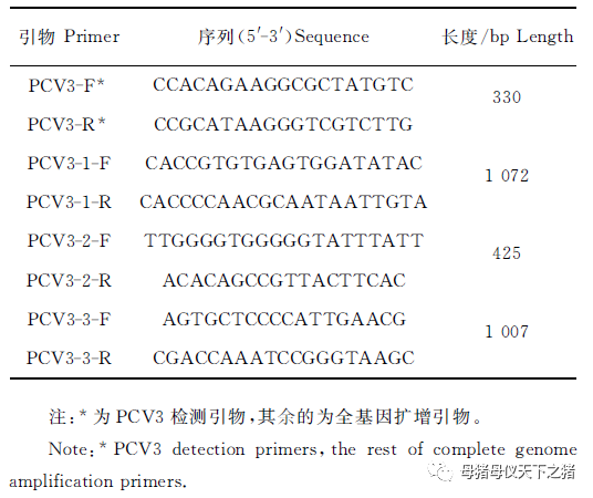 广东地区新生仔猪先天性震颤猪群中PCV3感染情况的调查