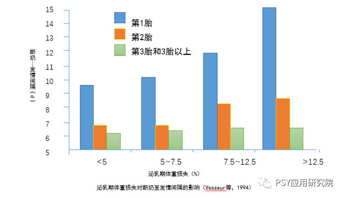 断奶母猪只要能发情，断奶掉膘没关系？