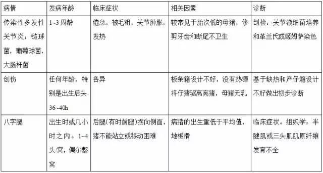 引起猪“跛行”的疾病诊断表，总结的太全了！