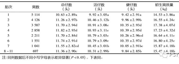 高胎龄母猪还能不能继续留用？要用需要解决哪些问题？