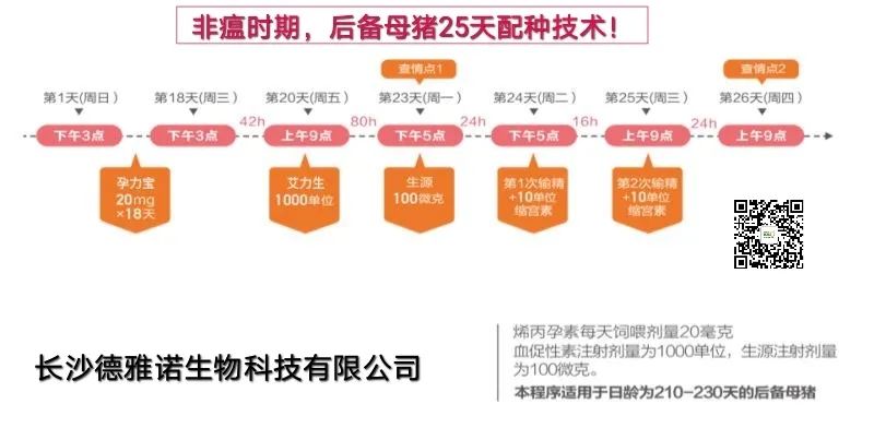 大栏批次化生产中的五个到位