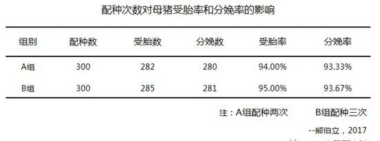 当前三元母猪留种需要注意哪些？