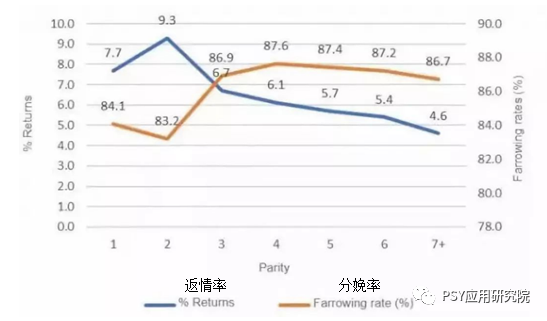 我们正在为不规范管理青年母猪而付出沉重代价！