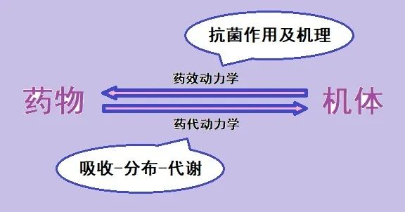 掌握这些兽药“药效学指标”，更科学、精准、有效用药