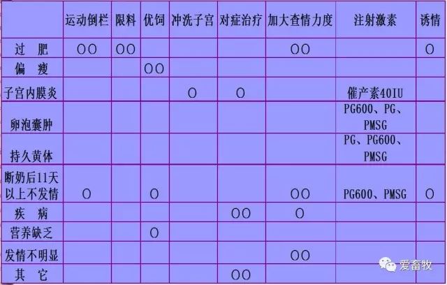 母猪不发情的技术处理措施及淘汰原则